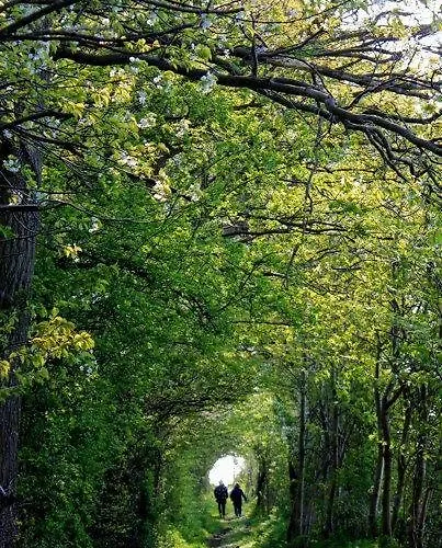 Andelen Guest house Aeroskobing