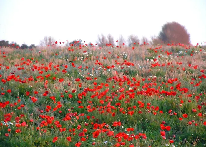 Guest house Andelen *